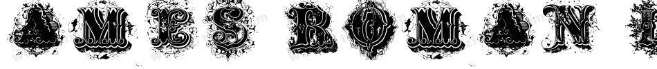 Ames Roman Light Re字体转换